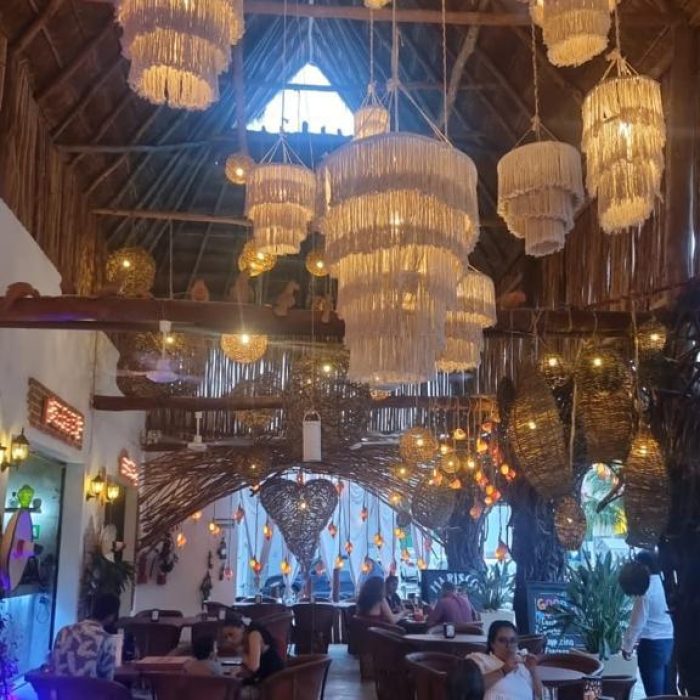 WhatsApp Image 2024-11-15 at 13.12.04